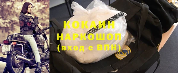 прущие грибы Переславль-Залесский