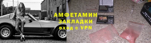 прущие грибы Переславль-Залесский