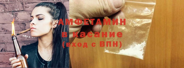 прущие грибы Переславль-Залесский