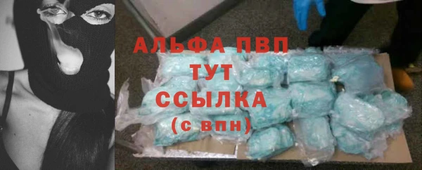 прущие грибы Переславль-Залесский