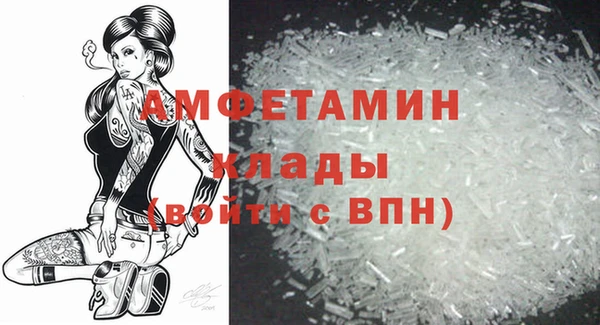 прущие грибы Переславль-Залесский