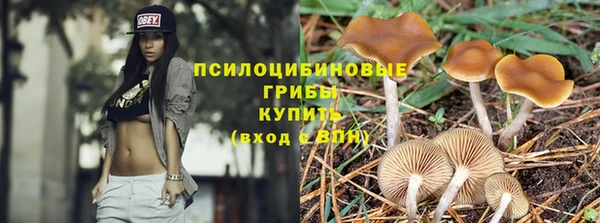 а пвп мука Абдулино
