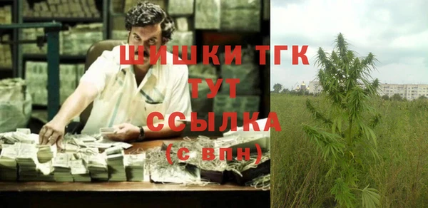 эйфоретик Магас