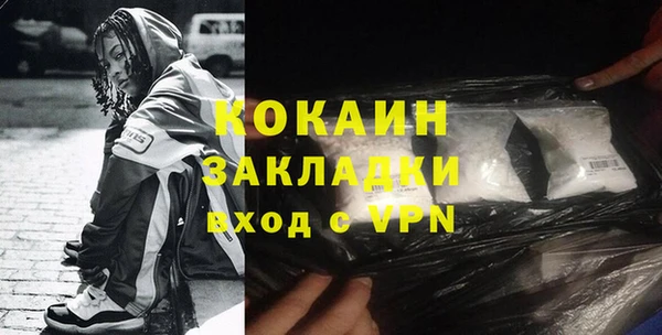 прущие грибы Переславль-Залесский