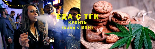 прущие грибы Переславль-Залесский