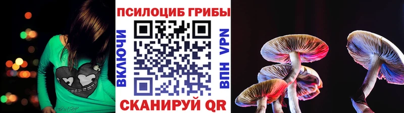 купить наркоту  Великие Луки  Псилоцибиновые грибы Psilocybine cubensis 