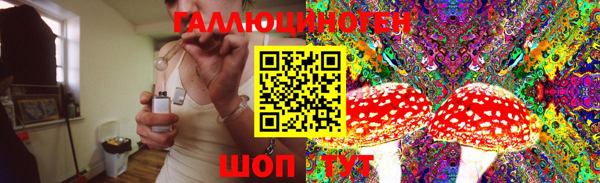 Галлюциногенные грибы Psilocybine cubensis Великие Луки